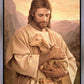 Lost Lamb