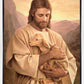 Lost Lamb