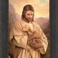 Lost Lamb
