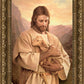 Lost Lamb