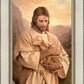 Lost Lamb