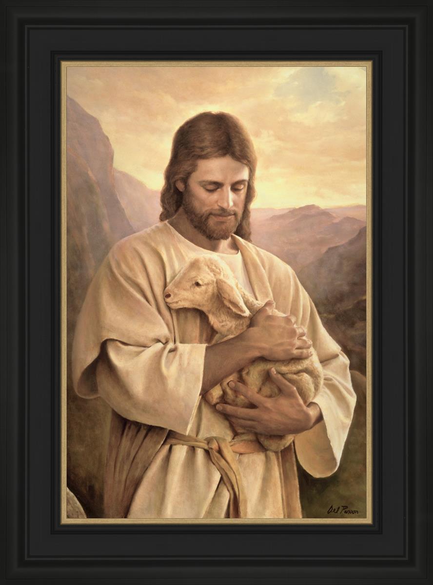Lost Lamb