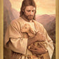 Lost Lamb