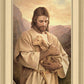 Lost Lamb