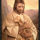 Lost Lamb