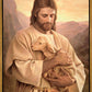 Lost Lamb