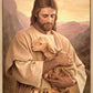 Lost Lamb
