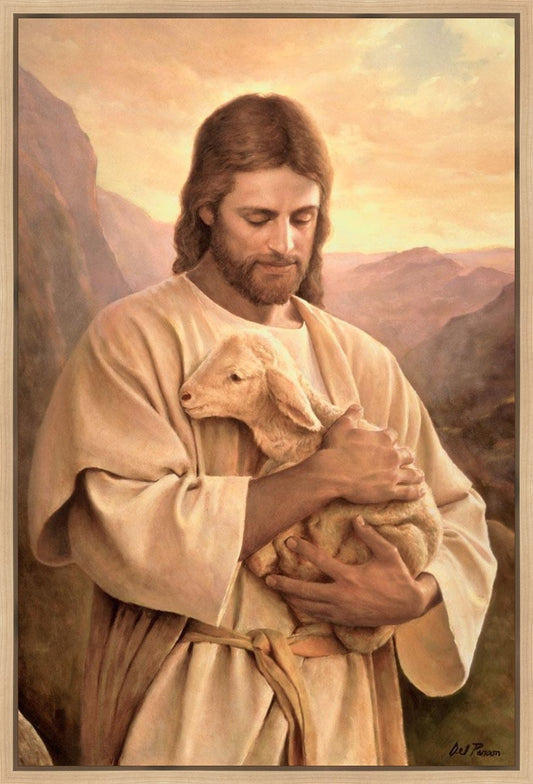 Lost Lamb
