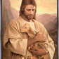 Lost Lamb
