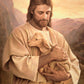Lost Lamb