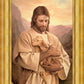 Lost Lamb