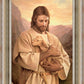 Lost Lamb