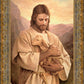 Lost Lamb