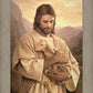 Lost Lamb