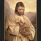 Lost Lamb