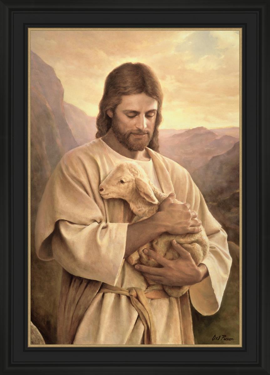 Lost Lamb