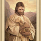 Lost Lamb