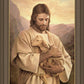 Lost Lamb