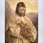Lost Lamb