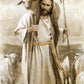 Good Shepherd