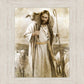Good Shepherd