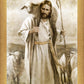 Good Shepherd
