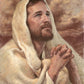 I Have Prayed For Thee
