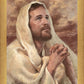 I Have Prayed For Thee