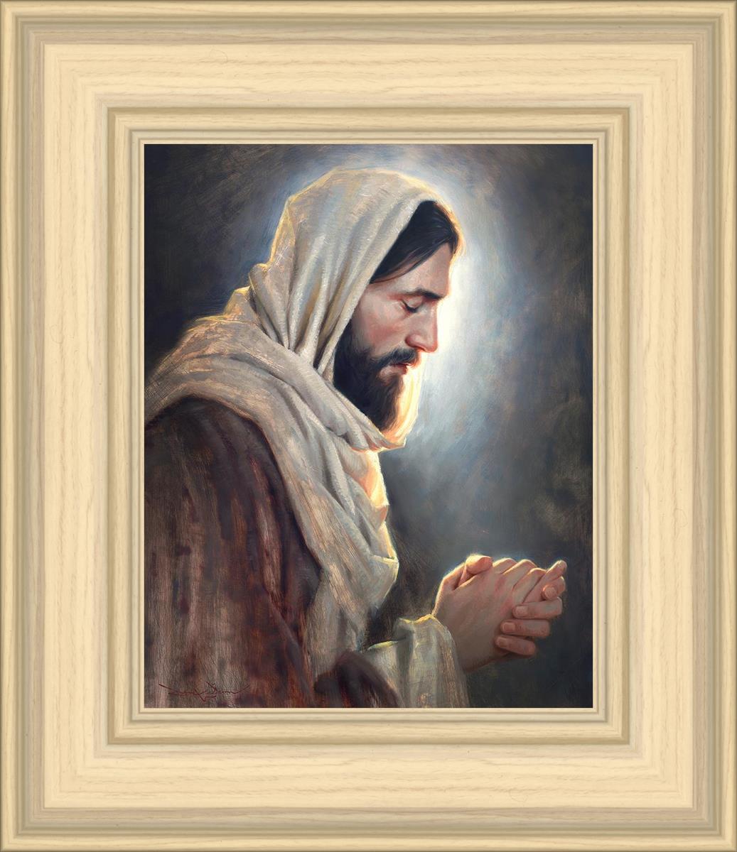 Our Light