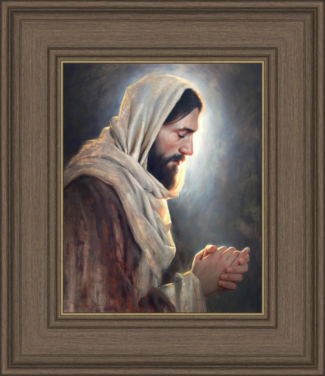 Our Light