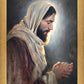 Our Light