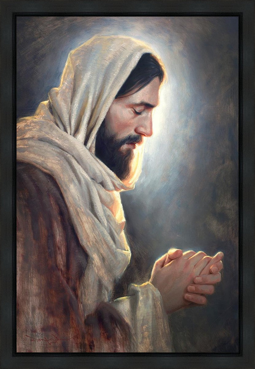 Our Light