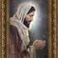 Our Light