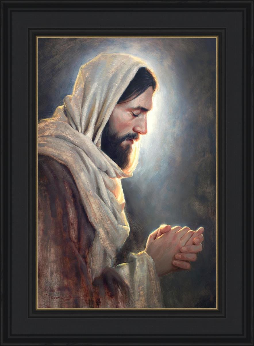 Our Light