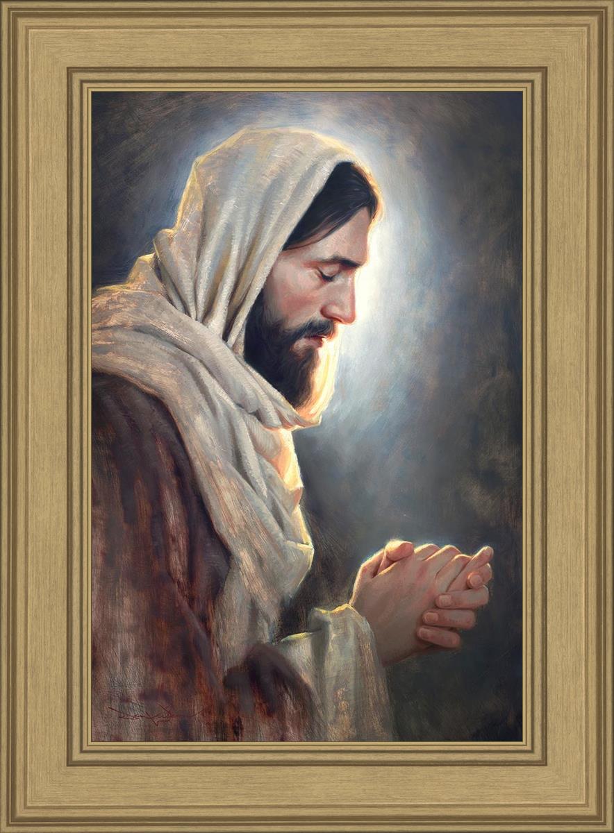 Our Light