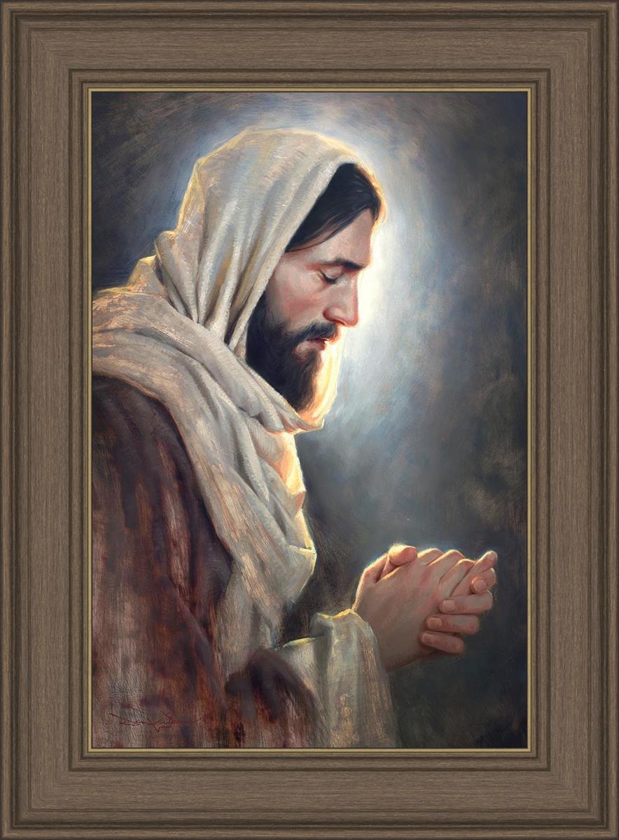 Our Light