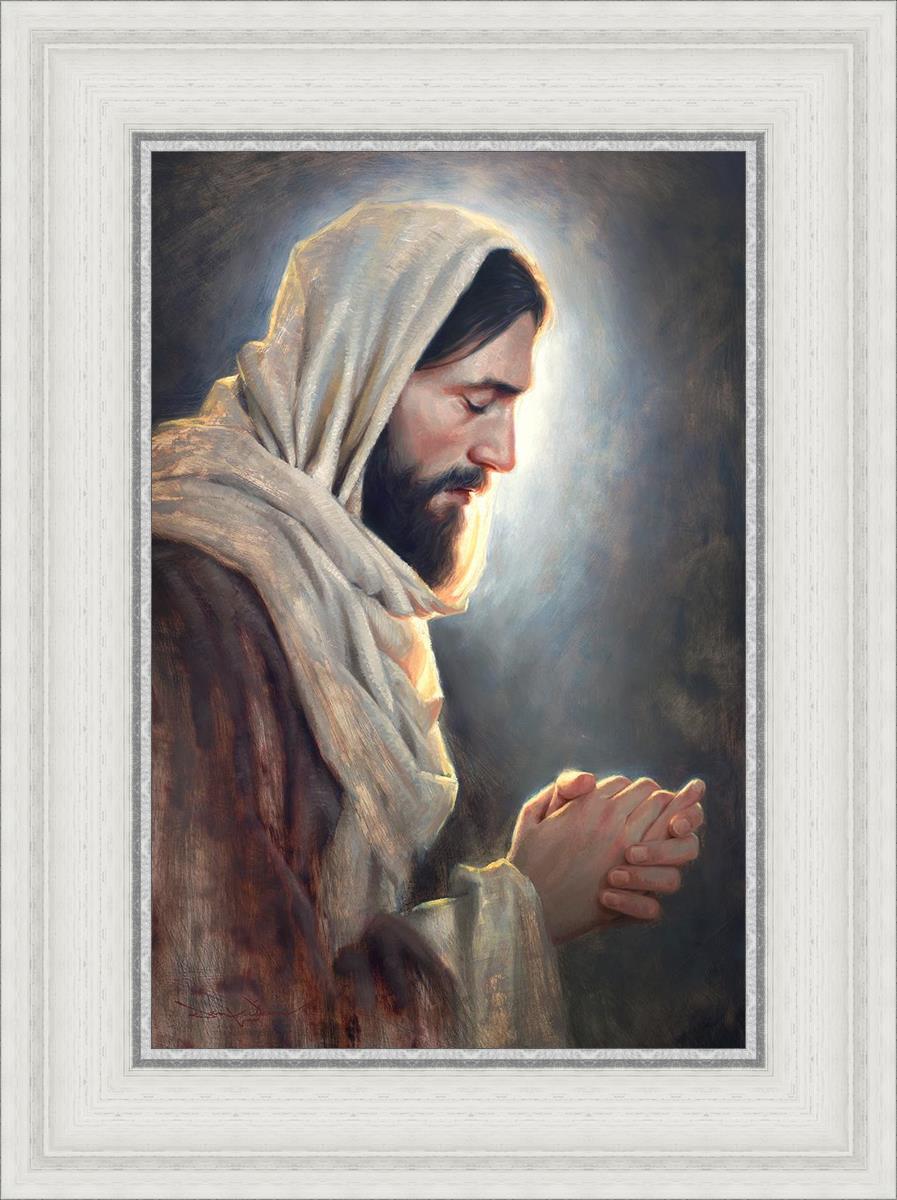 Our Light