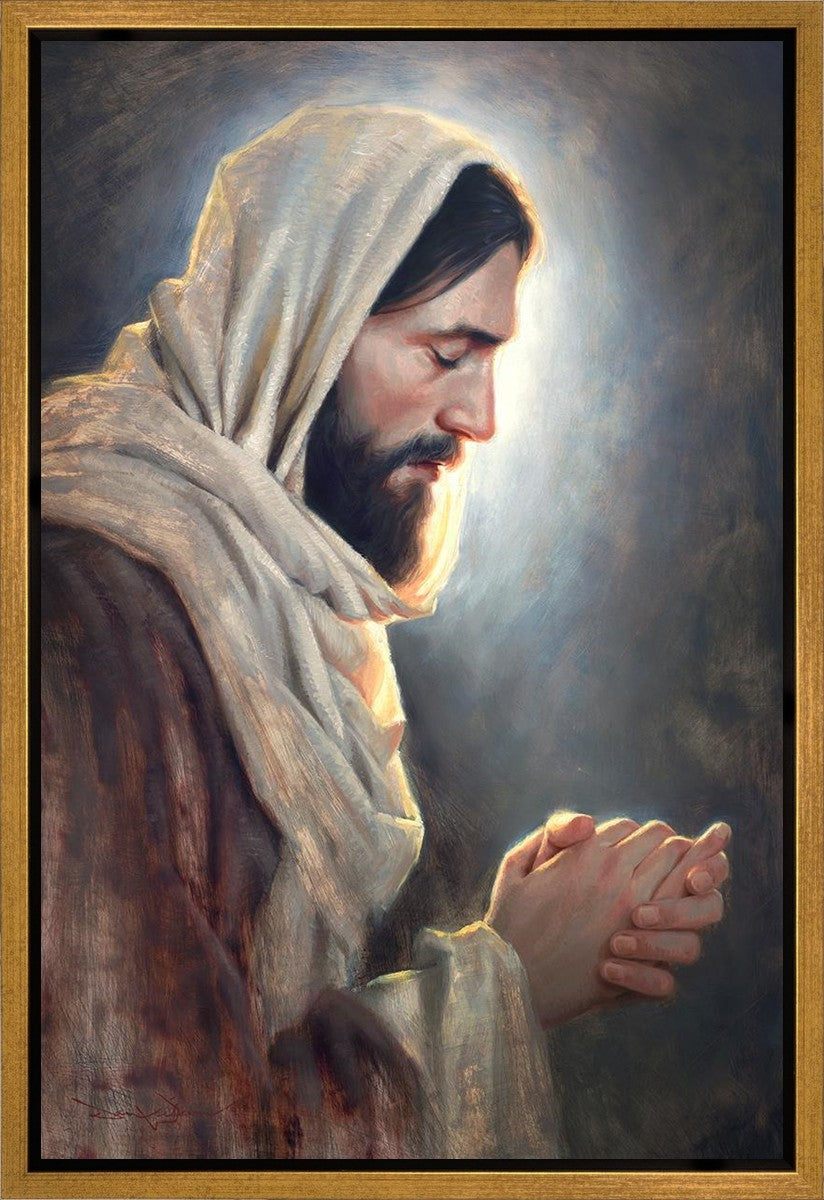 Our Light