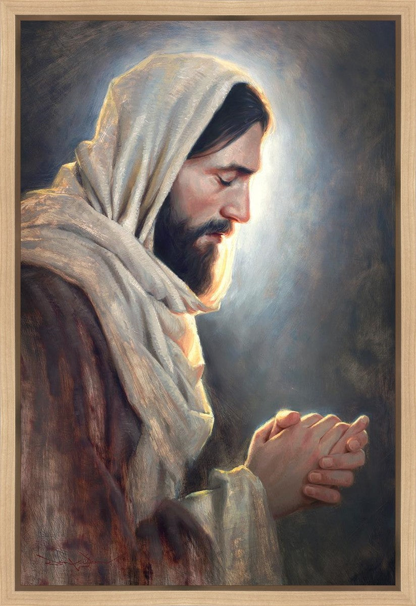 Our Light