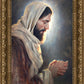 Our Light