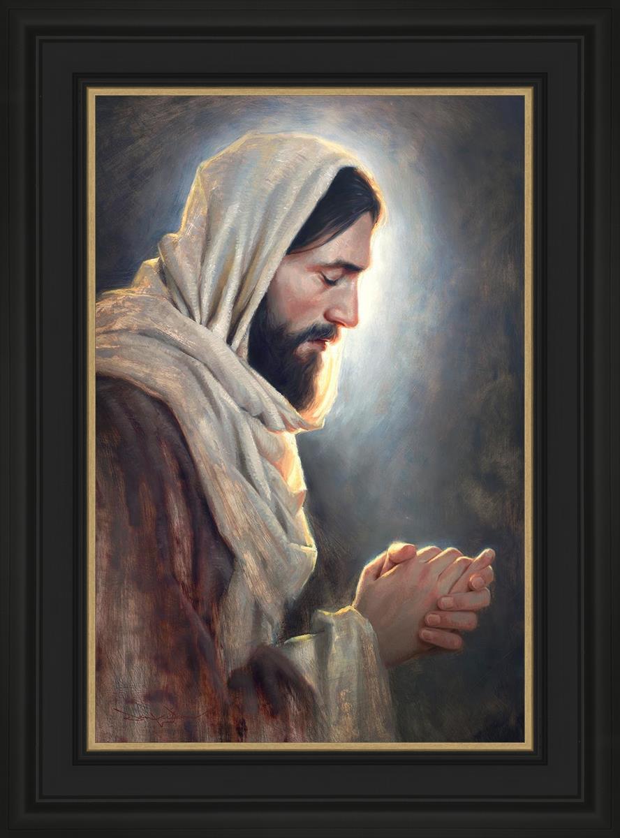 Our Light