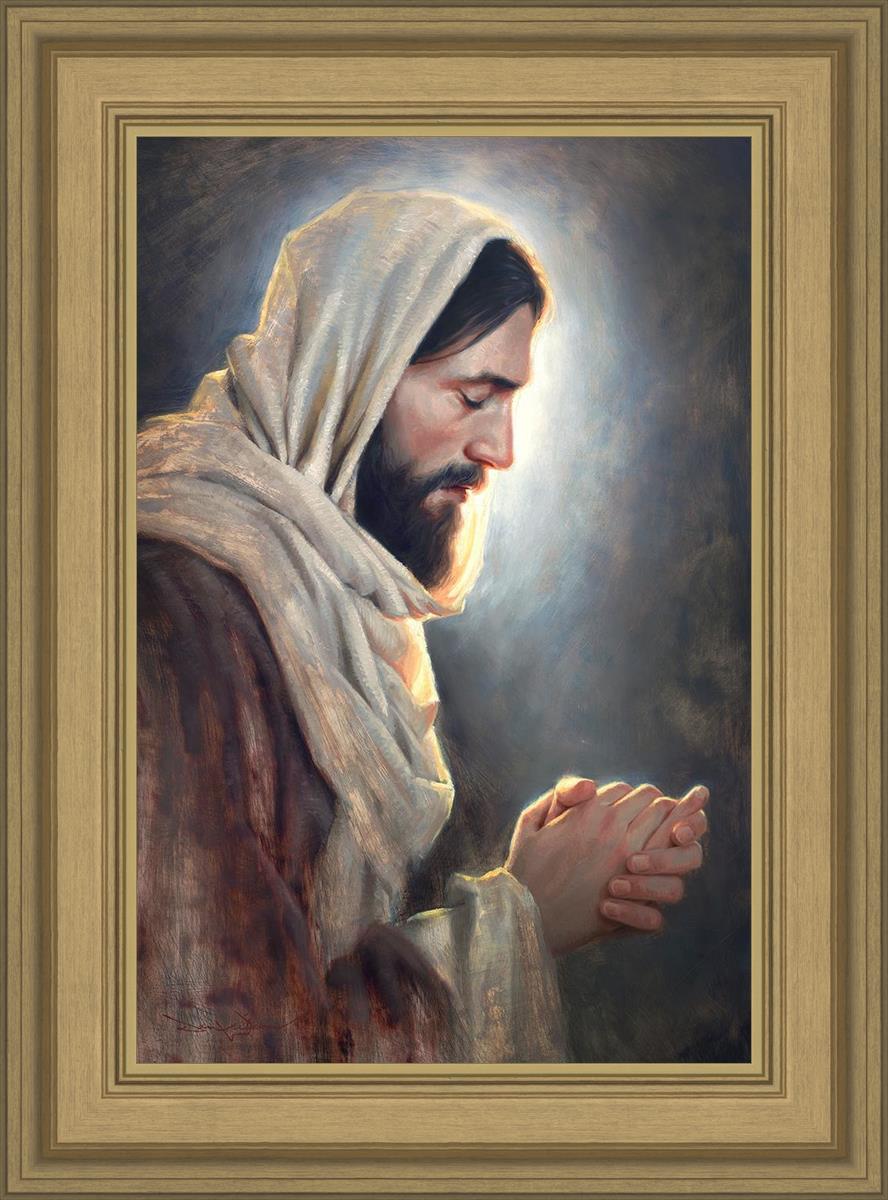 Our Light