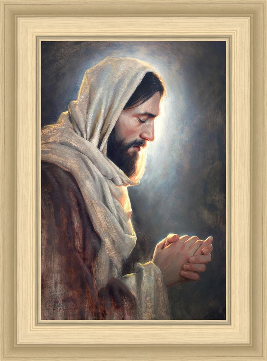 Our Light