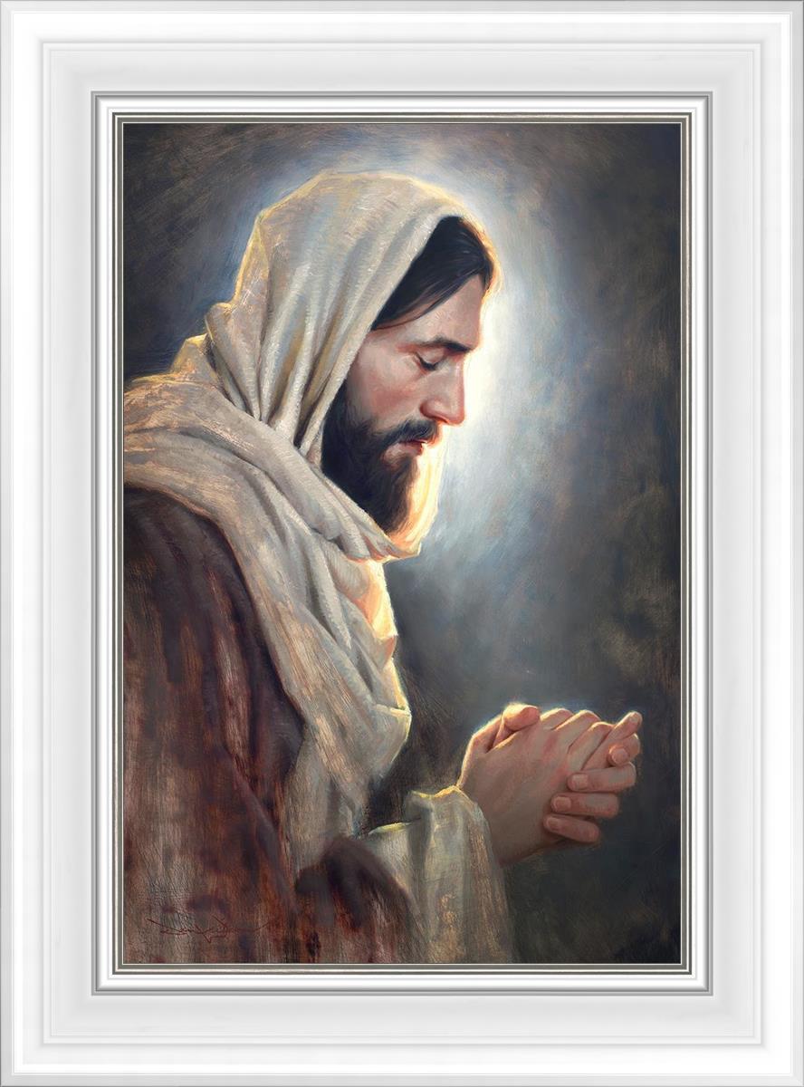 Our Light
