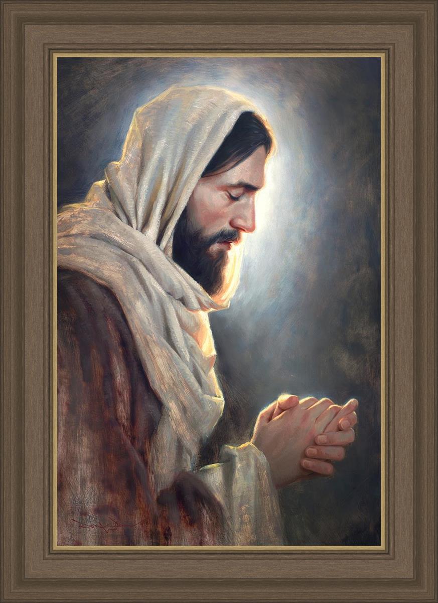 Our Light