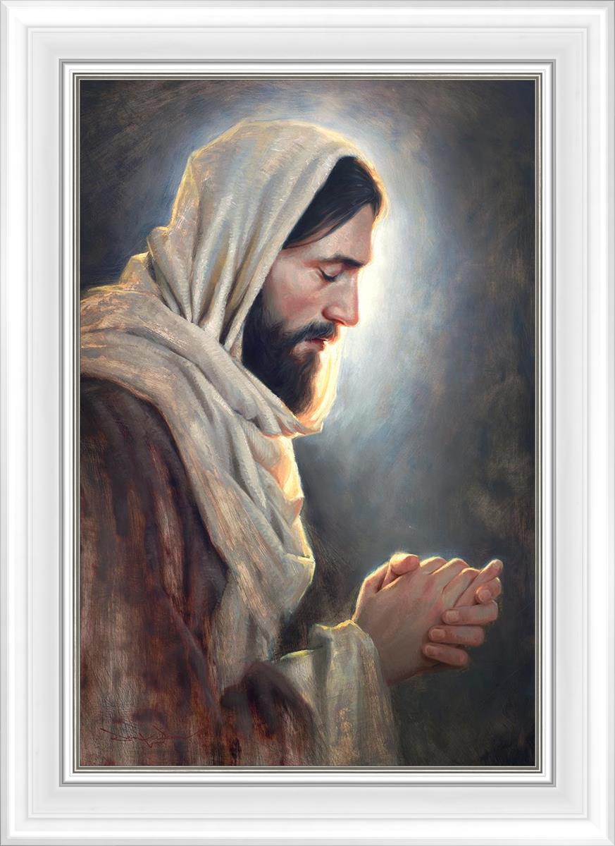 Our Light
