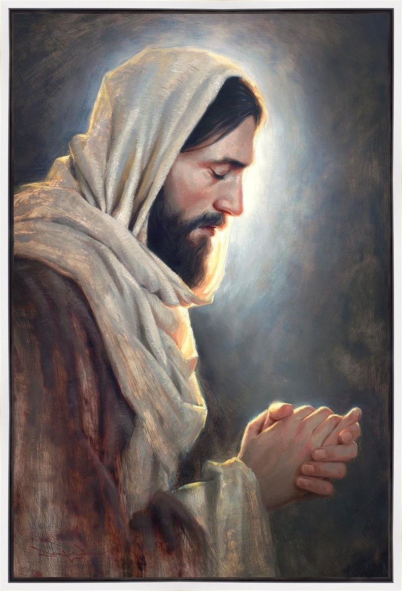 Our Light