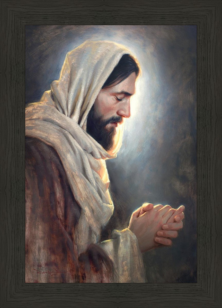 Our Light