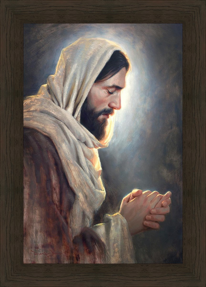 Our Light