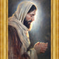 Our Light
